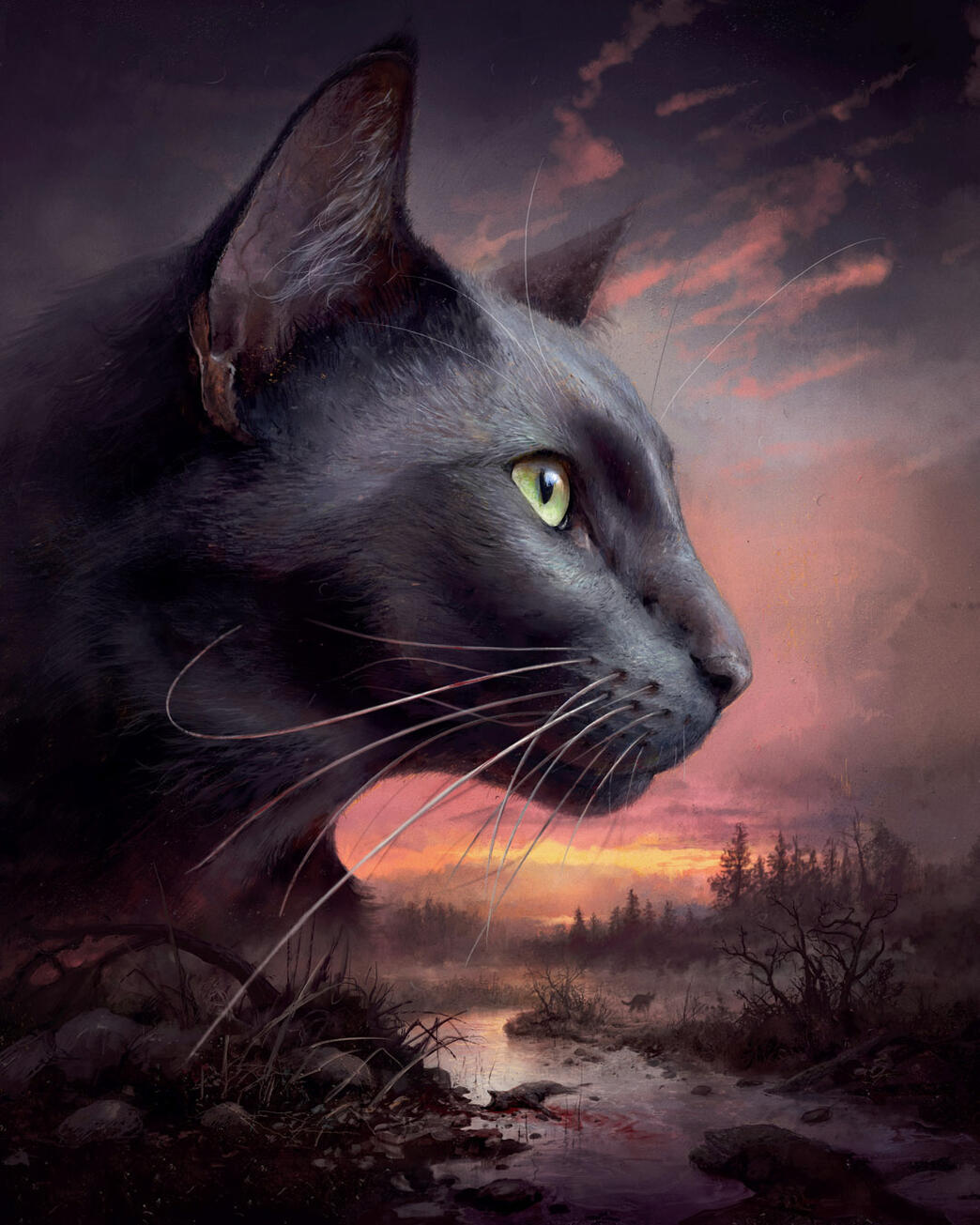 Erin Hunter, Sunrise - Warrior Cats cover illustration